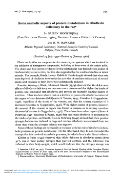 Some anabolic aspects of protein metabolism in riboflavin deficiency