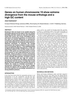 Genes on human chromosome 19 show extreme