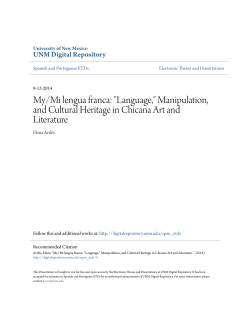 Manipulation, and Cultural Heritage in Chicana Art and Literature