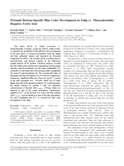 Perianth Bottom-Specific Blue Color