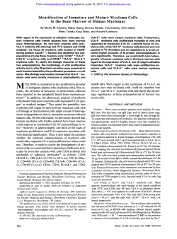 Identification of Immature and Mature Myeloma Cells in the Bone