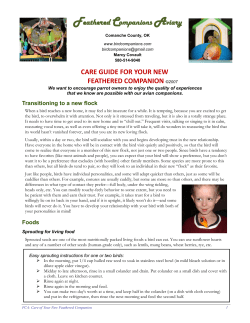 FCA Care Guide for Your Feathered Companion