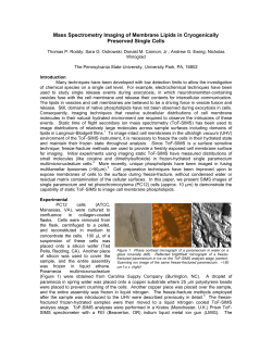 Mass Spectrometry Imaging of Membrane Lipids in Cryogenically