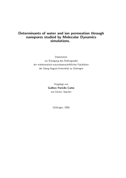 Determinants of water and ion permeation through nanopores