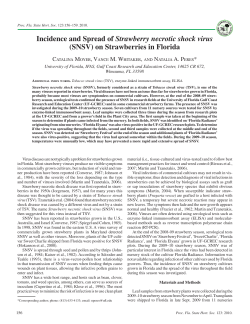 Incidence and Spread of Strawberry necrotic shock virus (SNSV) on