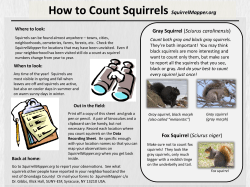 Data recording sheet