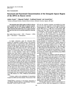 Structural and Functional Characterization of the Intergenic Spacer