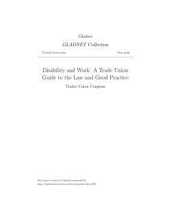 Disability and Work - Centro Diritti Umani