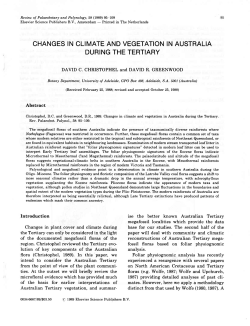 as a PDF