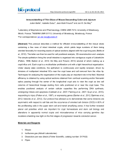 Preparation of colon and small intestine samples - Bio