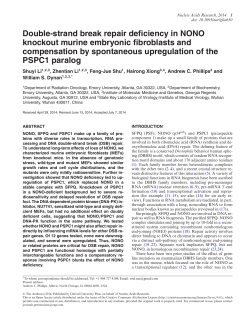 Double-strand break repair deficiency in NONO knockout murine