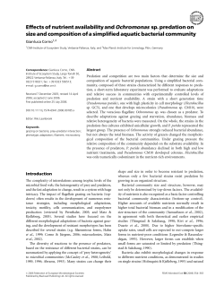 Effects of nutrient availability and Ochromonas sp. predation on size