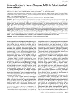 Meniscus structure in human, sheep, and rabbit for animal models of