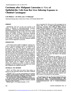 Carcinoma after Malignant Conversion in Vitro of