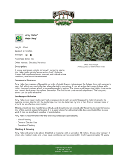 Amy Hebe - Garden Supply Co