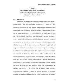 Penetration of Liquid Adhesive Chapter 6 Penetration of Liquid