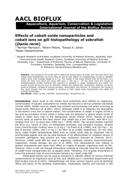 Effects of cobalt oxide nanoparticles and cobalt ions on gill