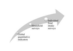 Household Individual food intake Global quantitative indicators