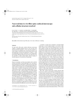 Near real time in vivo fibre optic confocal microscopy: sub