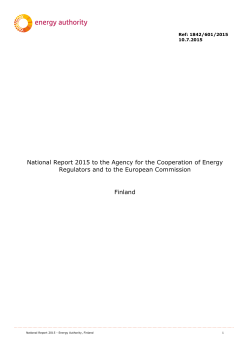 National report on electricity and natural gas markets in 2014