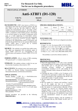 Anti-ATBF1 (D1-120)