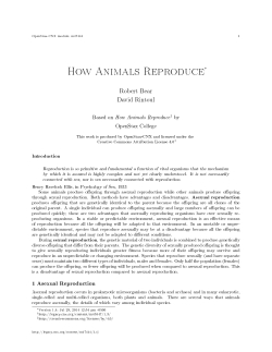 How Animals Reproduce