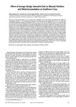 Effect of Sewage Sludge Amended Soil on