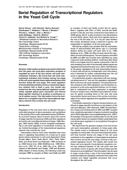 Serial Regulation of Transcriptional Regulators in the Yeast Cell Cycle