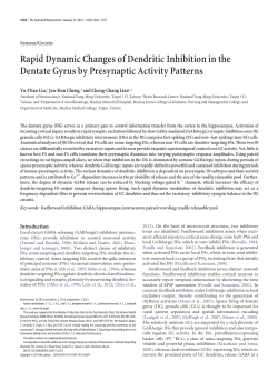 Rapid Dynamic Changes of Dendritic Inhibition in the Dentate Gyrus