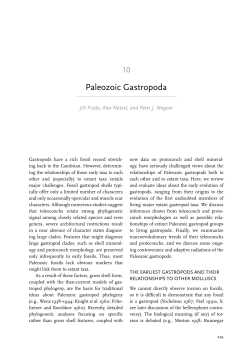 Paleozoic Gastropoda