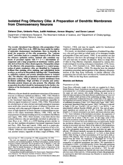 Isolated Frog Olfactory Cilia: A Preparation of