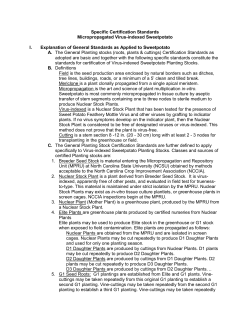 Sweet Potato Standard - North Carolina Crop Improvement