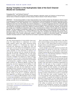 Drying Transition in the Hydrophobic Gate of the