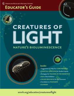 nature`s bioluminescence - American Museum of Natural History