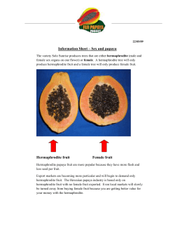 Sex and papaya - Fiji Papaya Project