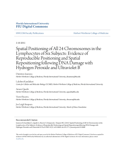 Spatial Positioning of All 24 Chromosomes in the Lymphocytes of