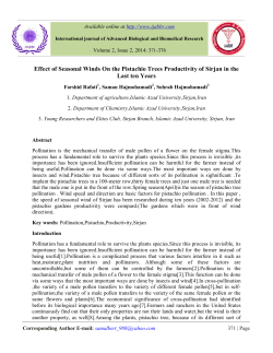 Effect of Seasonal Winds On the Pistachio Trees Productivity of