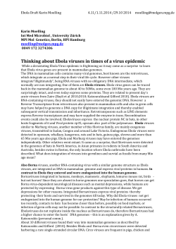 Thinking about Ebola viruses in times of a virus epidemic