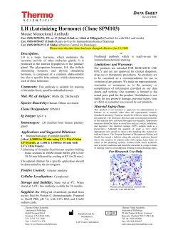 LH (Luteinizing Hormone), Mouse Monoclonal Antibody