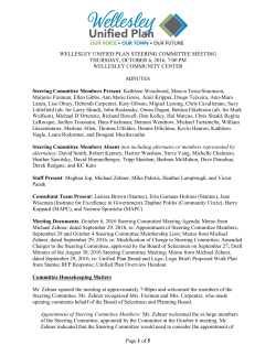 Meeting Minutes - Wellesley Unified Plan