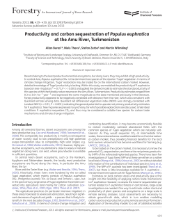 Productivity and carbon sequestration of Populus euphratica at the