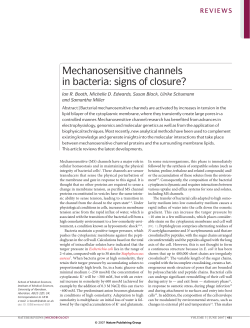 Mechanosensitive channels in bacteria: signs of closure?