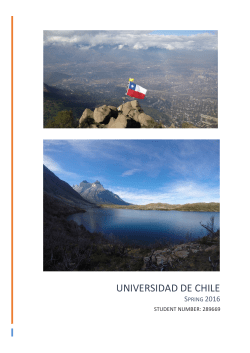 universidad de chile