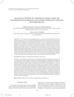 diagenetic pattern of vertebrate fossils from the traversodontidae