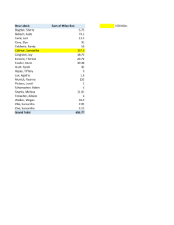 Row Labels Sum of Miles Ran 150 Miles Bogdan