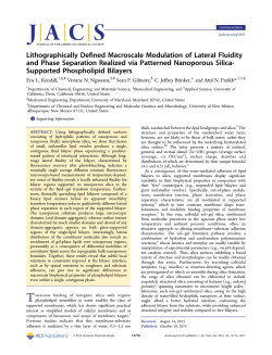 Lithographically Defined Macroscale Modulation of Lateral Fluidity