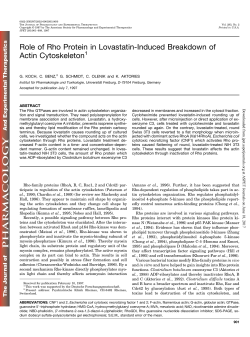 Role of Rho Protein in Lovastatin