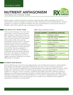 NUTRIENT ANTAGONISM - Rx Green Solutions
