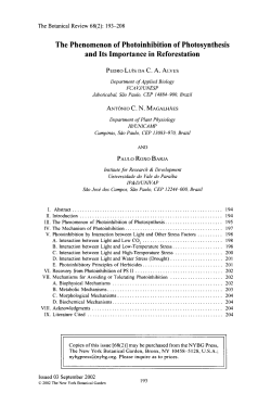 The phenomenon of photoinhibition of photosynthesis and its