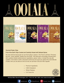Gourmet Potato Chips Fruit of the Earth Chips Cooked and Carefully